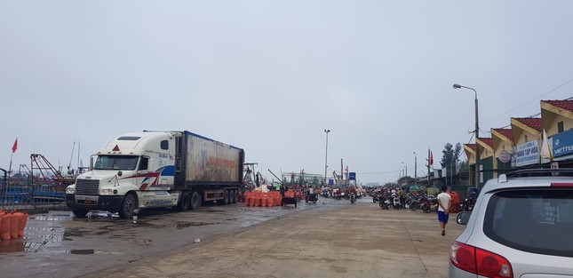 Ngư dân Hà Tĩnh 'trúng mánh', mỗi ngày thu đến 20 triệu từ ốc xoắn, sò nhám ảnh 6