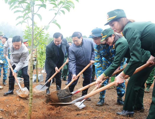 Thủ tướng kêu gọi trồng cây đầu xuân theo di nguyện của Bác Hồ ảnh 1