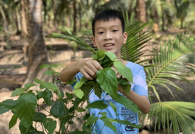Học sinh Việt Nam giành giải 3 viết thư quốc tế UPU ảnh 1