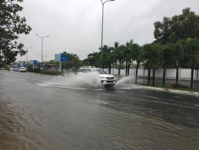 Cây đổ hàng loạt, mất điện, hàng nghìn nhà tốc mái do bão số 5 ảnh 11