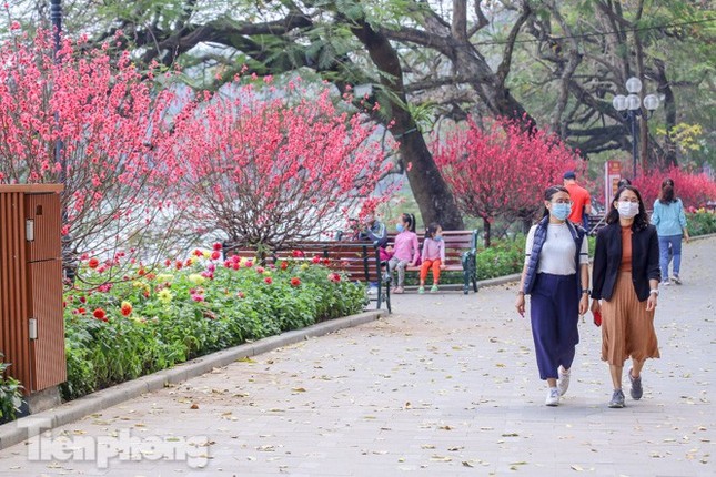 Miền Bắc chuyển rét, vùng núi cao có thể xuất hiện mưa tuyết ảnh 1