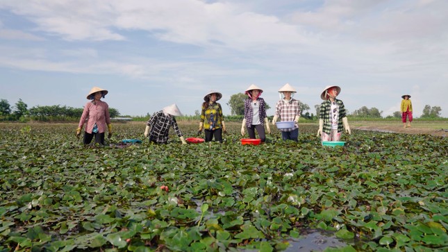 Hoa hậu Thùy Tiên 'cướp' hit của Đức Phúc nhưng Misthy lại gây chú ý khi bày trò để bị 'phốt' ảnh 3