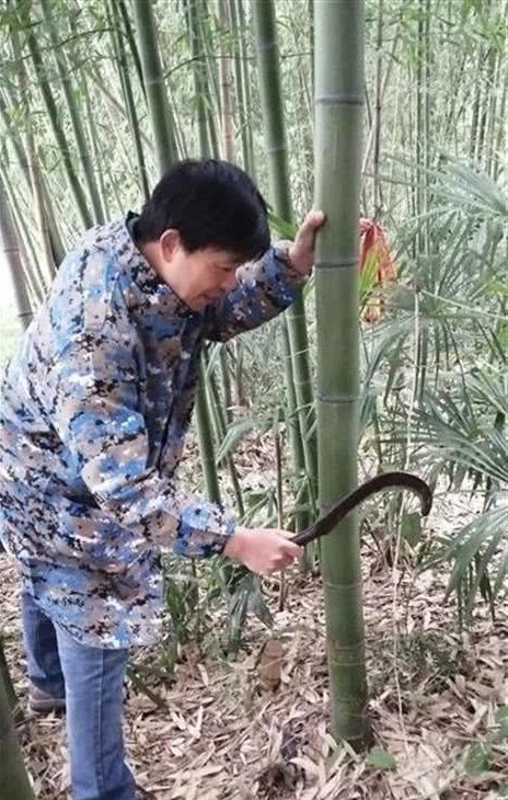 Học Youtuber “tiên nữ” triệu view, thầy giáo bỗng chốc “hot” nhất mùa COVID-19 ảnh 2