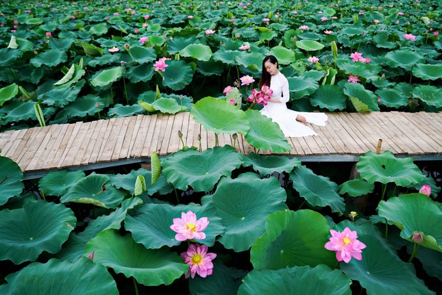 Học viện Nông nghiệp Việt Nam - nơi viết tiếp câu chuyện tuổi trẻ của bao thế hệ sinh viên ảnh 12