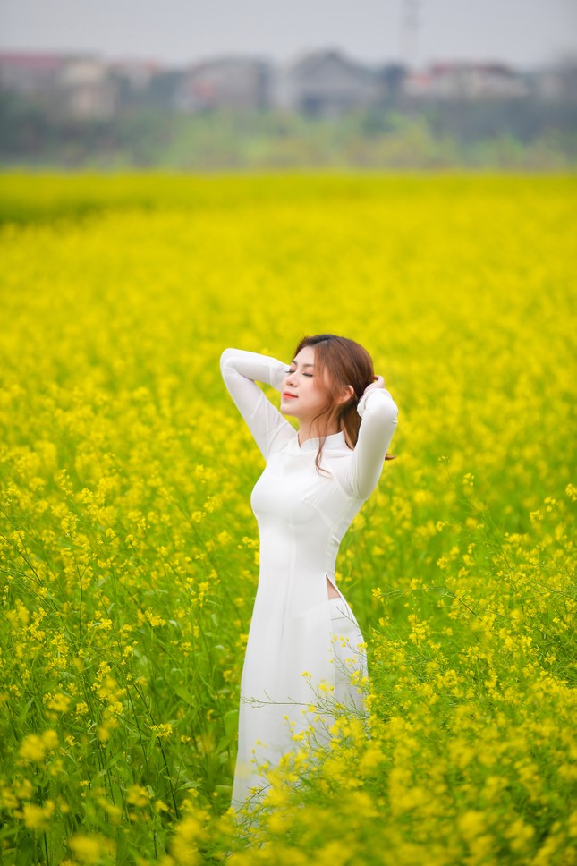 Nữ sinh Kinh Công đẹp dịu dàng giữa cánh đồng hoa cải vàng rực rỡ ảnh 11