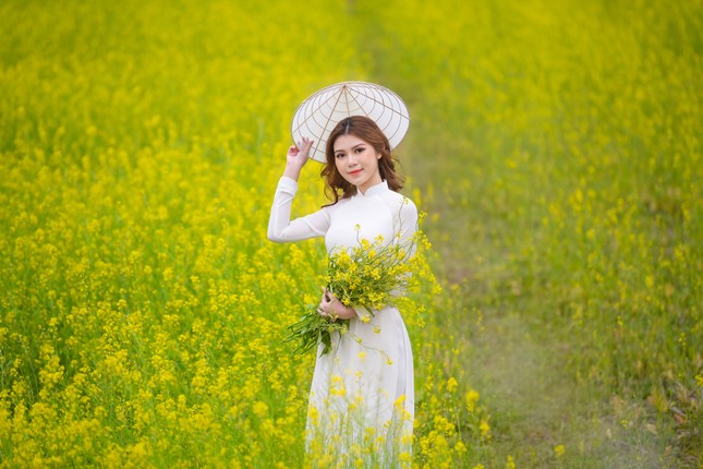Nữ sinh Kinh Công đẹp dịu dàng giữa cánh đồng hoa cải vàng rực rỡ ảnh 5