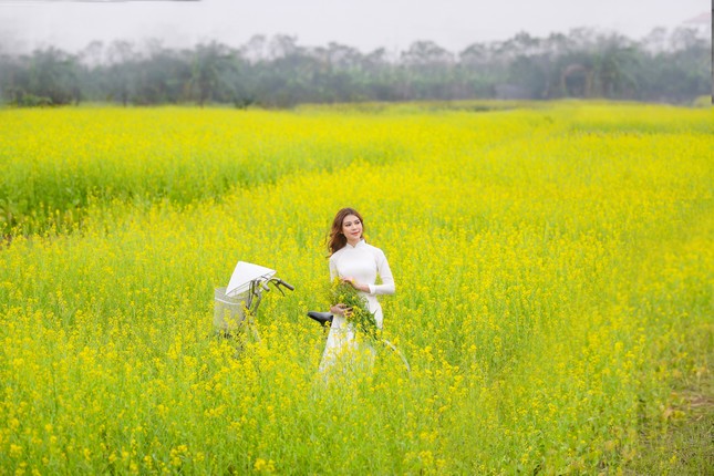 Nữ sinh Kinh Công đẹp dịu dàng giữa cánh đồng hoa cải vàng rực rỡ ảnh 7