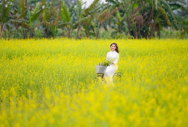 Nữ sinh Kinh Công đẹp dịu dàng giữa cánh đồng hoa cải vàng rực rỡ ảnh 8