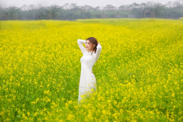 Nữ sinh Kinh Công đẹp dịu dàng giữa cánh đồng hoa cải vàng rực rỡ ảnh 9