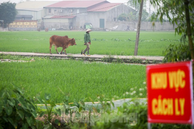 Lập 12 chốt kiểm soát, cách ly cả thôn Đông Cứu - Thường Tín vì có ca mắc COVID-19 ảnh 12