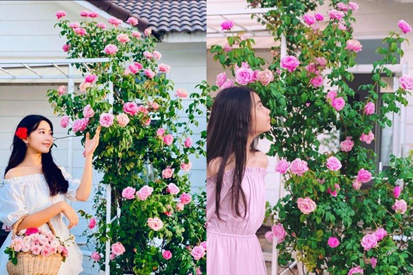 Căn biệt thự 21 tỷ của Quyền Linh đẹp tới mức nào mà ai cũng khen ngợi? ảnh 7