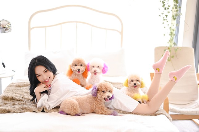 Không thể ngờ gia tài hàng trăm triệu đồng của Sĩ Thanh lại nằm ở bí mật này ảnh 7