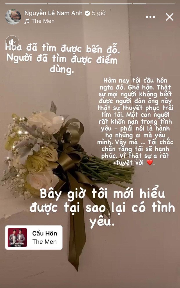 Sau mối tình đơn phương với Thanh Hằng, Nam Anh bất ngờ khoe tin đính hôn ảnh 8