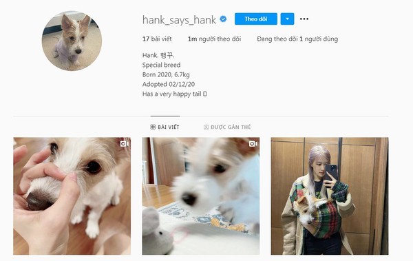 Netizen muốn xỉu khi nhìn vào kho đồ hiệu của chó cưng nhà Rosé: Giàu vậy ai chơi lại ảnh 5