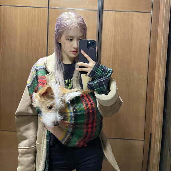 Netizen muốn xỉu khi nhìn vào kho đồ hiệu của chó cưng nhà Rosé: Giàu vậy ai chơi lại ảnh 11