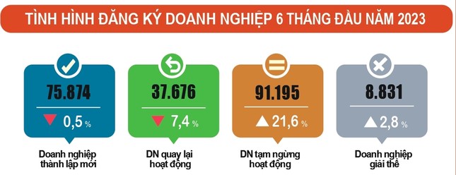 Mỗi ngày hơn 500 doanh nghiệp tạm ngừng hoạt động ảnh 1