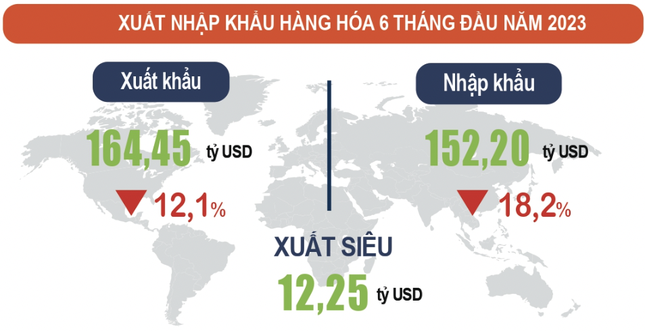  Việt Nam xuất siêu đạt hơn 12 tỷ USD ảnh 1