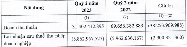 Nhiều doanh nghiệp sở hữu đất vàng đang trong cảnh 'phú quý giật lùi' ảnh 2