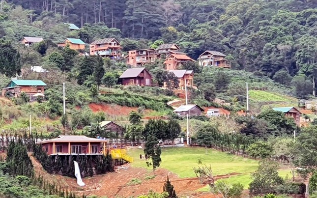 Phân lô đất nền tự phát gắn mác khu nghỉ dưỡng Lâm Đồng ảnh 3