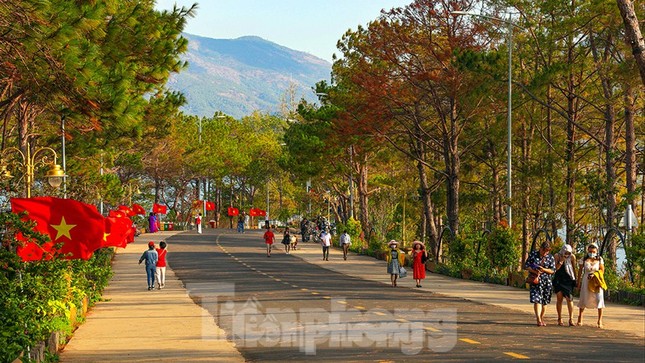Gia Lai mong chờ Giải vô địch quốc gia Marathon và cự ly dài báo Tiền Phong ảnh 1
