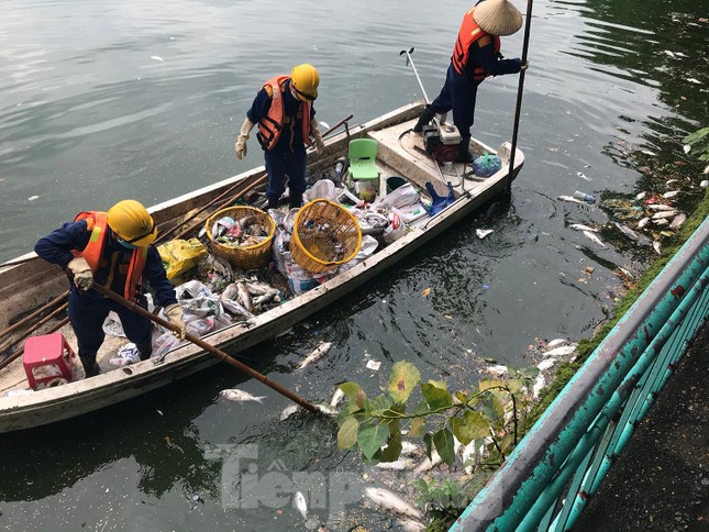 Hà Nội nêu biện pháp lâu dài khắc phục hiện tượng cá chết ở hồ Tây ảnh 1