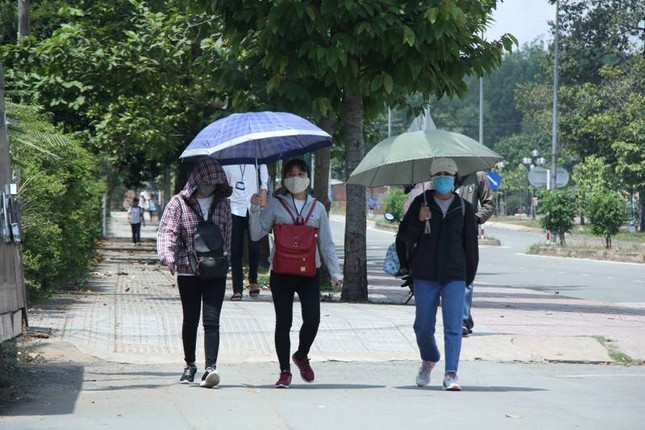 Người Sài Gòn mưu sinh dưới cái nắng 40 độ C ảnh 12