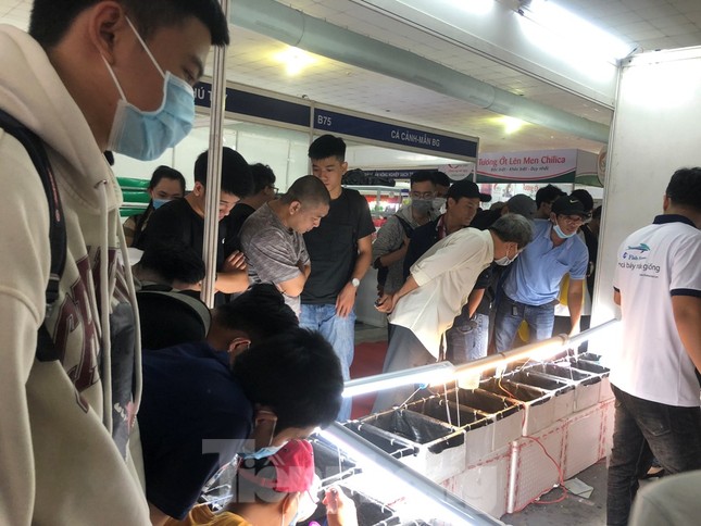 Doanh nghiệp nhỏ tìm cách bán hàng mùa dịch COVID-19 ảnh 2