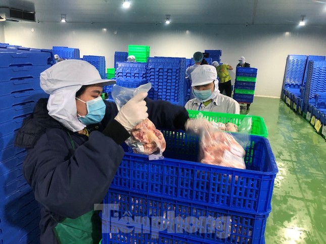 Xuyên đêm lấy mẫu kiểm tra thực phẩm ảnh 8