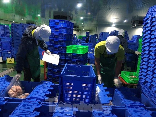 Xuyên đêm lấy mẫu kiểm tra thực phẩm ảnh 9