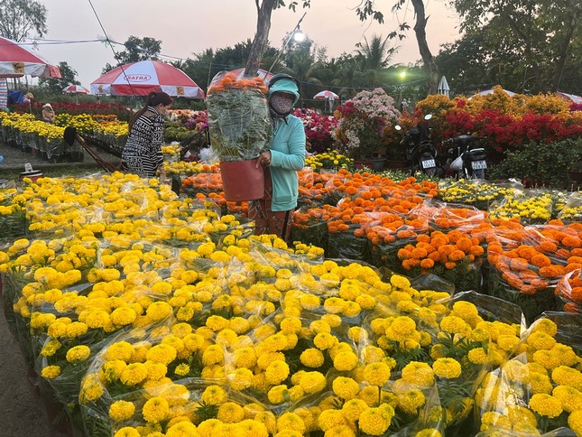 Nhộn nhịp chợ hoa Tết 'giá hạt dẻ' ở TPHCM ảnh 1