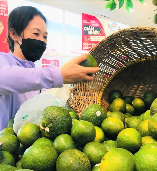 'Chưa bao giờ cam sành rẻ như lúc này' ảnh 2