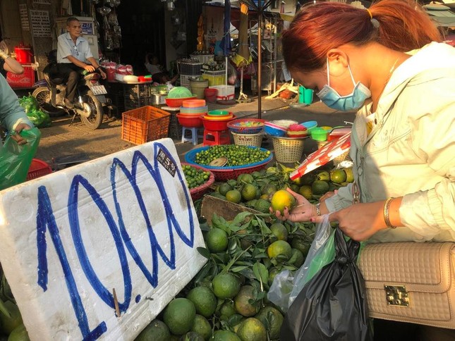 'Chưa bao giờ cam sành rẻ như lúc này' ảnh 3