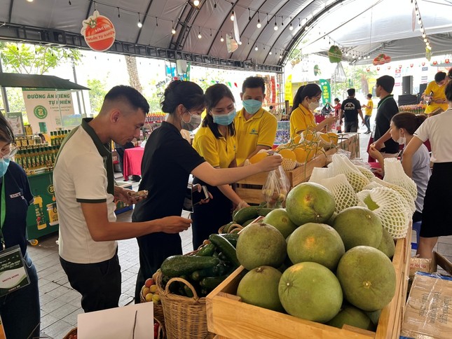 Đào Sa Pa, mận cherry Tây Bắc đắt hàng tại TPHCM ảnh 10