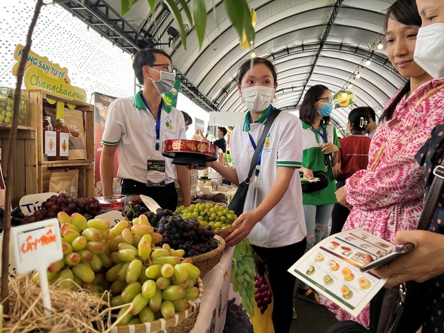 Đào Sa Pa, mận cherry Tây Bắc đắt hàng tại TPHCM ảnh 8