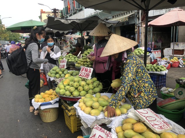 Xoài cát Hòa Lộc giá rẻ bất ngờ ảnh 5