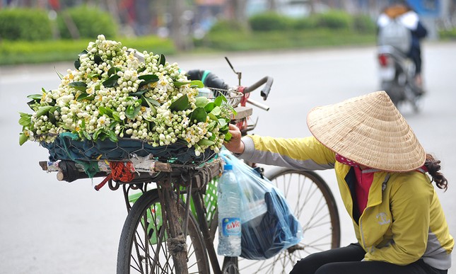 Đường phố Hà Nội ngát hương hoa bưởi ảnh 5