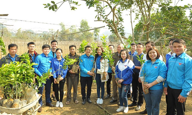 Nhiều phần quà Tết tặng học sinh khó khăn Hòa Bình ảnh 3