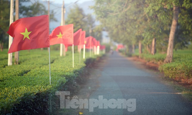 Cung đường Tiền Phong Marathon rợp cờ đỏ sao vàng và thanh âm cồng chiêng đại ngàn ảnh 8