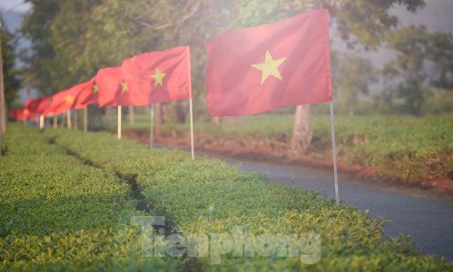 Cung đường Tiền Phong Marathon rợp cờ đỏ sao vàng và thanh âm cồng chiêng đại ngàn ảnh 9