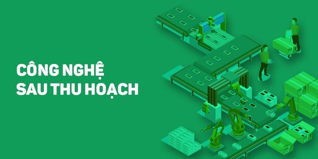 Ngành học Công nghệ Sau thu hoạch cam kết việc làm cho sinh viên ảnh 1