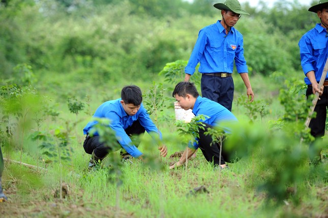 Triển khai mô hình “Vườn ươm Vì một Việt Nam xanh“ ảnh 2
