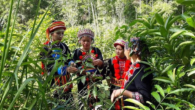Khởi nghiệp từ sản phẩm truyền thống để bảo vệ văn hóa của người Dao ảnh 1