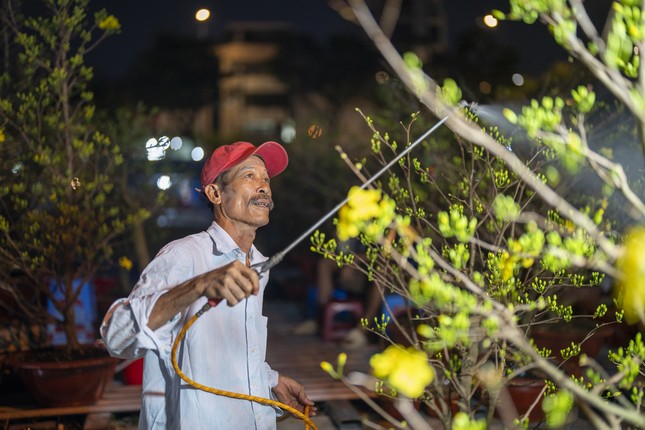 Chợ hoa ‘trên bến dưới thuyền’ hối hả chạy tết từ sáng đến tối ảnh 16