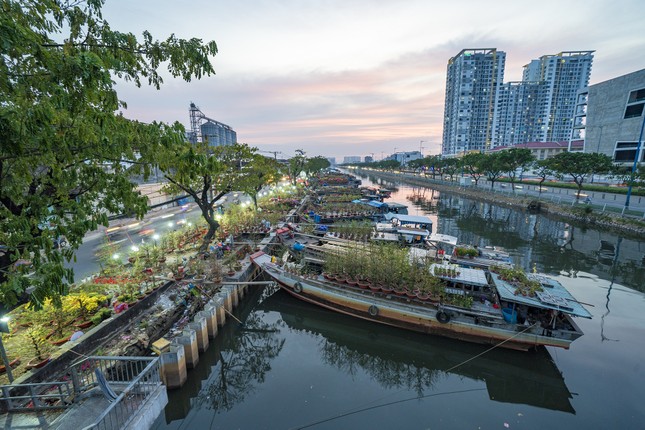 Chợ hoa ‘trên bến dưới thuyền’ hối hả chạy tết từ sáng đến tối ảnh 22