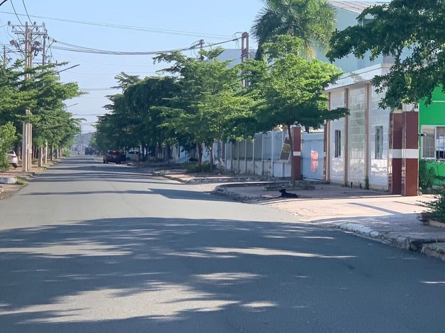 Hai vợ chồng ngã xe trọng thương do bị chó dữ đuổi cắn trong khu công nghiệp ảnh 1