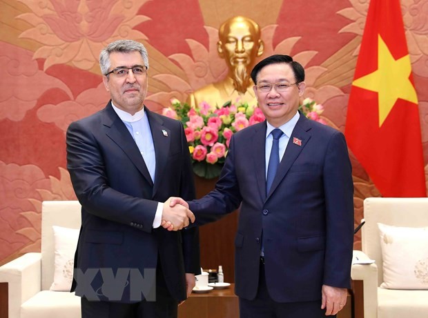 Làm sâu sắc hơn quan hệ giữa hai nước Việt Nam và Iran ảnh 1