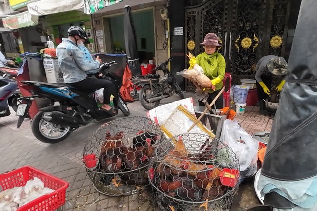 Vô tư mua bán gia cầm '3 không' bất chấp dịch H5N1 đe dọa ảnh 3