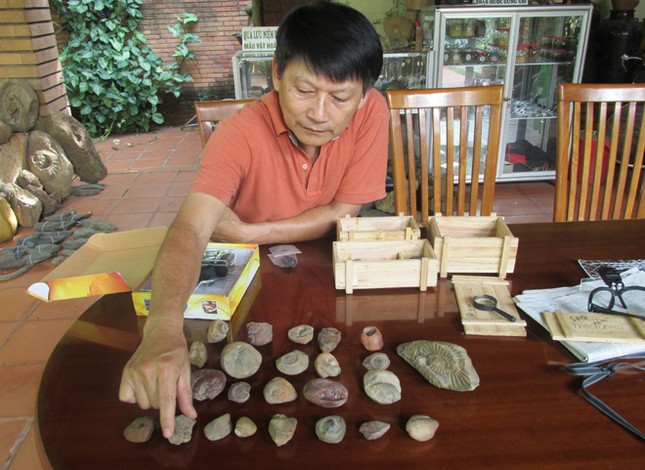 Vườn Chuông Đá kể chuyện trăm triệu năm ảnh 2
