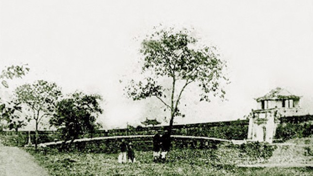 Hai trăm mười tuổi, Hạc thành ảnh 2
