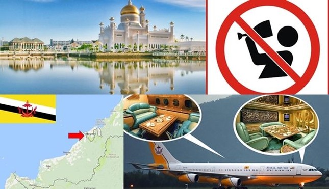 Ở Brunei không được phép bán gì sau đây?